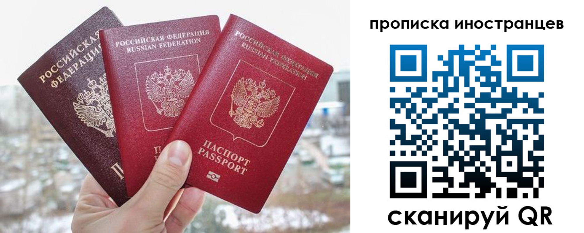 временная регистрация поиск в Барыше